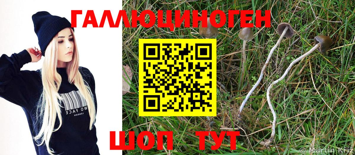Псилоцибиновые грибы мицелий  Вход с VPN  Ялуторовск 